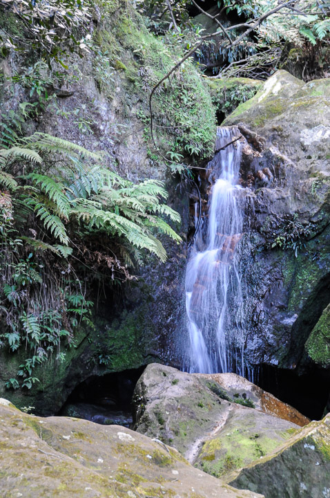 _DSC4694.jpg