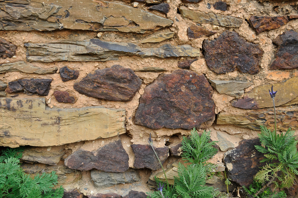 _DSC5092.jpg