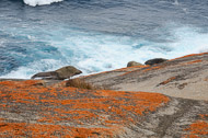 Australia: Kangaroo Island