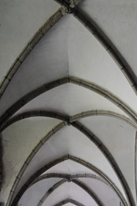 _DSC9338.jpg