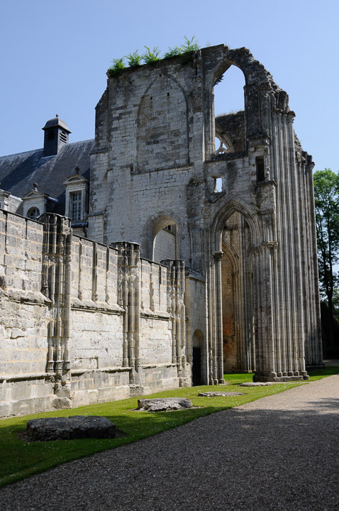 _DSC9585.jpg