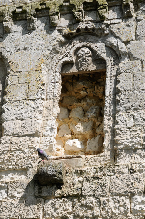 _DSC9625.jpg