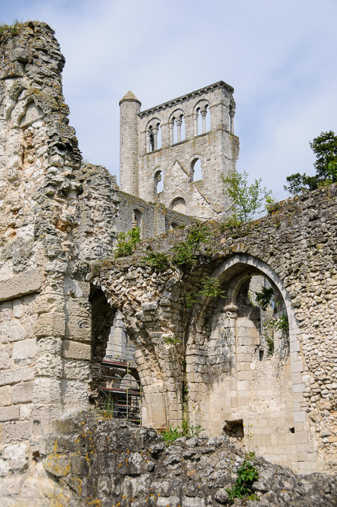 _DSC9695.jpg