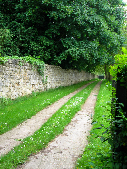 DSCN4154.jpg