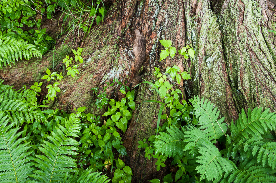 _DSC2402.jpg