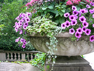 DSCN4568.jpg DSCN4568.jpg