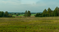 The countryside on our bus ride was pastoral and pretty. Forests, which we were told consisted of birch (Russia's national tree), fir, pine, and larch, and fields of hay, were common along the ride. _DSC0805.jpg