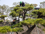 DSCN0971.jpg DSCN0971.jpg