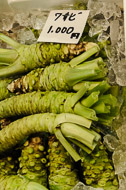 This is what wasabi looks like before it is ground up and put on the plate with your sashima or sushi. _DSC0114.jpg