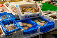 Seafood for sale at the wholesale market _DSC0133.jpg