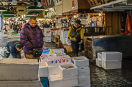 Inside the Tsukiji Fish Market _DSC0139.jpg