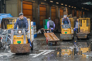 Drivers and carts at work _DSC0153.jpg
