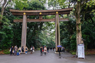 The great torii entrance to the Meiji Shrine _DSC0201.jpg