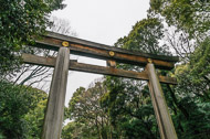 The uprights in the torii are made from single tree trunks. _DSC0209.jpg