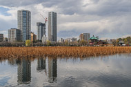 Our next stop was Ueno and Ueno Park. It has changed a lot since it figured prominently in Edo period wood block prints. _DSC0380.jpg