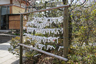 Prayer papers left by visitors to the shrine _DSC0389.jpg