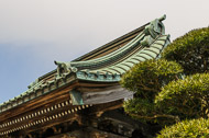 _DSC0526.jpg
