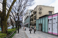 Tokyo with Wrightway Tours