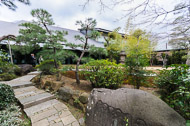 Tokyo with Wrightway Tours