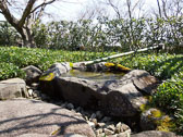 DSCN1075.jpg