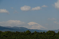 _DSC1487.jpg