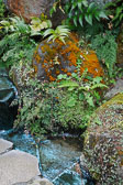 _DSC1656.jpg