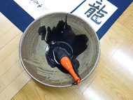 DSCN1420.jpg DSCN1420.jpg