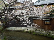 DSCN1433.jpg DSCN1433.jpg