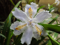 DSCN1728.jpg