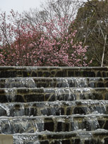 DSCN1737.jpg
