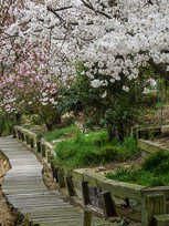 DSCN1757.jpg