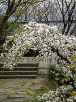 DSCN1779.jpg
