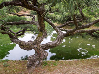DSCN1801.jpg