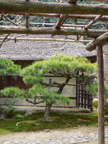 DSCN1804.jpg