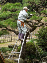 DSCN1806.jpg