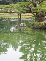 DSCN1810.jpg