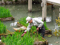 DSCN1813.jpg