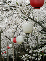 DSCN1825.jpg