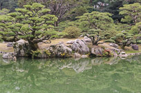 _DSC3370.jpg