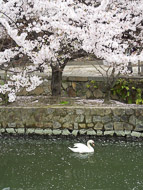 DSCN1941.jpg DSCN1941.jpg