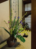 DSCN1993.jpg DSCN1993.jpg