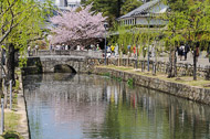 Along the canals of historic Kurashiki _DSC3712.jpg