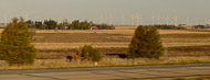 We saw many wind turbines on Iowa farmland during our drive to Minnesota. _DSC1209.jpg