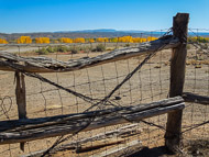 DSCN2903.jpg DSCN2903.jpg