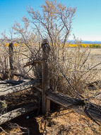 DSCN2906.jpg DSCN2906.jpg