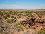 DSCN2930.jpg DSCN2930.jpg