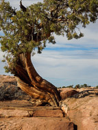 DSCN2949.jpg DSCN2949.jpg