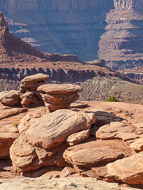 DSCN2952.jpg DSCN2952.jpg