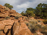 DSCN2968.jpg DSCN2968.jpg