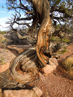 DSCN2975.jpg DSCN2975.jpg